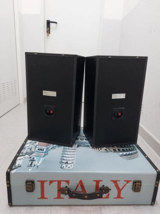 Altavoces SONY (2 unidades) no se incluye maleta.