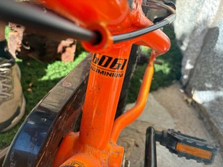 Bicicleta Monty Infantil Naranja