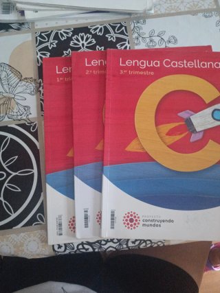 Lengua Castellana y Literatura, 4 Primaria, Moc...