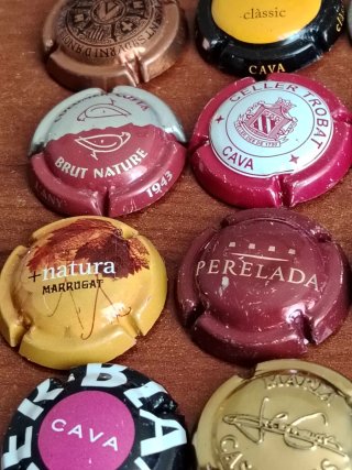 26 Chapas de Cava Colección