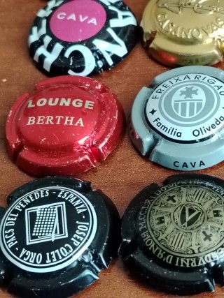 26 Chapas de Cava Colección