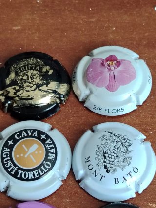 26 Chapas de Cava Colección