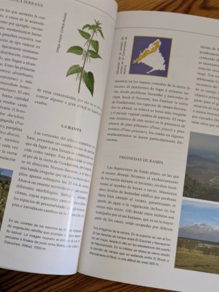 Vegetacion y flora de Madrid