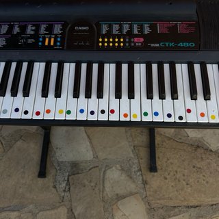 Teclado / Piano electrónico Casio CTK-480 + Soport