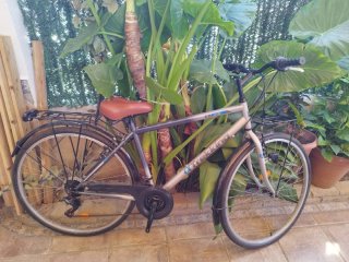 Bicicleta de paseo Trekking