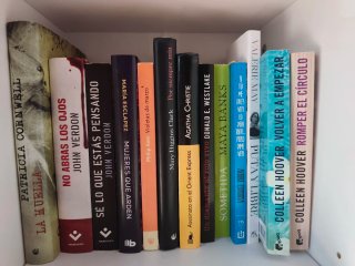 Libros varios Thriller y romance