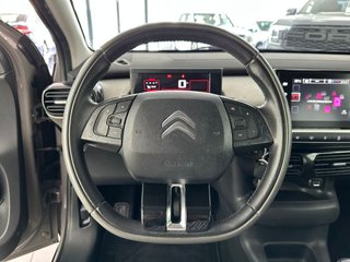CITROEN C4 Cactus BlueHDi 73KW 100CV Business