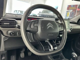 CITROEN C4 Cactus BlueHDi 73KW 100CV Business