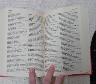 Dizionario Francese - Italiano Rusconi