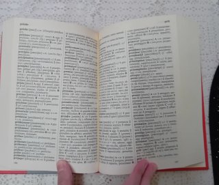 Dizionario Francese - Italiano Rusconi