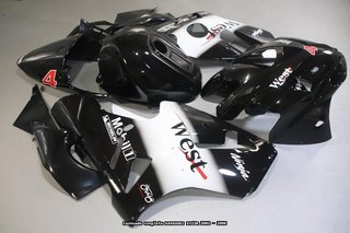 Carenado para KAWASAKI ZX12R 2002 - 2006