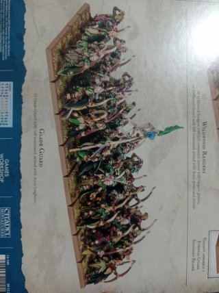 32 Elfos Silvanos, Guardia del Claro