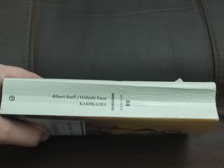 Kamikazes los pilotos suicidas japoneses en la ...