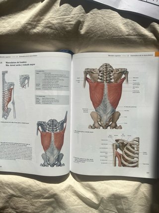 Prometheus texto y atlas de anatomía