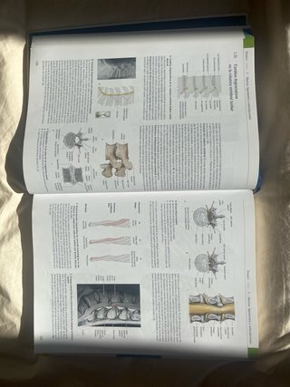 Prometheus texto y atlas de anatomía