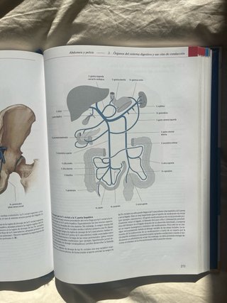 Prometheus texto y atlas de anatomía