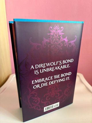 Dire Bound Waterstones Edition