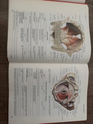 Atlas de anatomía humana