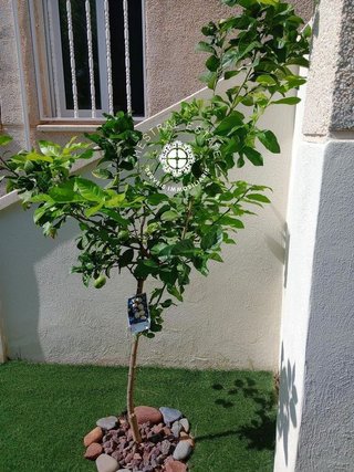 Piso en venta en Ardiaca - La Llosa en Cambrils