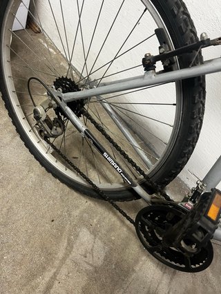 Bicicletta da donna.