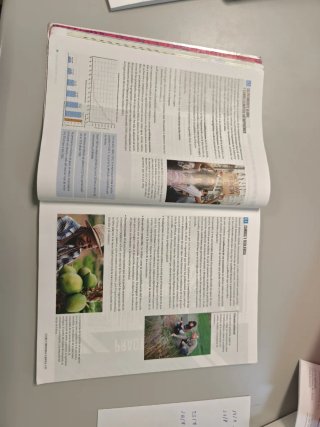 Proyecto: FanFest - Geografía e Historia 1 ESO ...