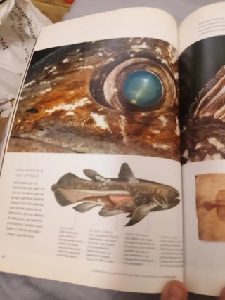 Revista national geographic