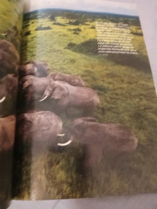Revista national geographic