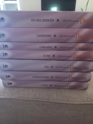 Libros de Danielle Stelle