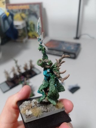 Ejército Elfos Silvanos warhammer the old world