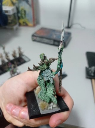 Ejército Elfos Silvanos warhammer the old world