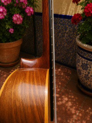 José Ramírez Rondalla