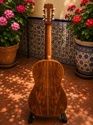 José Ramírez Rondalla