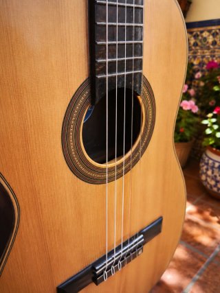 José Ramírez Rondalla