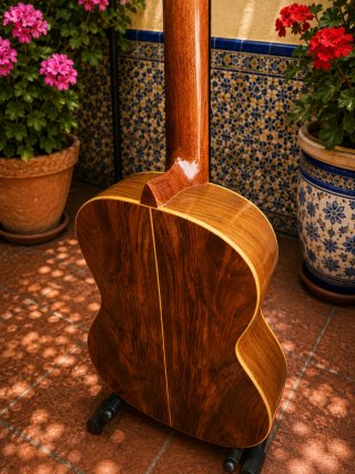 José Ramírez Rondalla