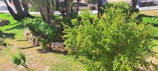 Estudio en alquiler en Bernabéu - Santa Pola Este en Santa Pola