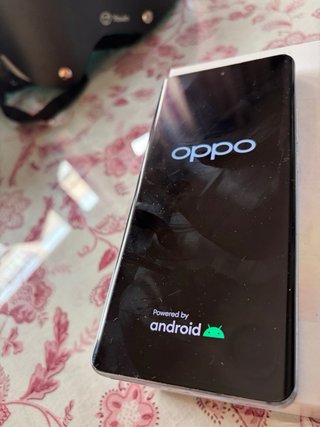 Oppo Reno 10 5G 256GB