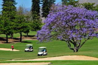 Piso en Mijas Golf (Pueblo Mijitas)