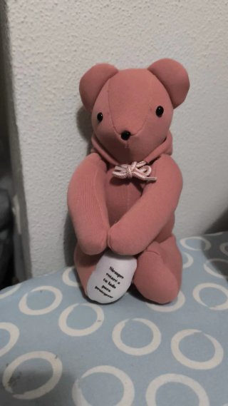 Osos personalizados para recuerdos