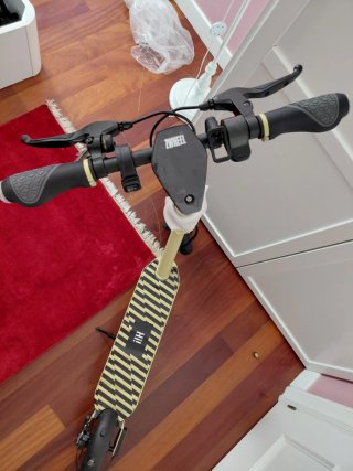 Patinete Eléctrico ZFox Max Autumn Sunrise