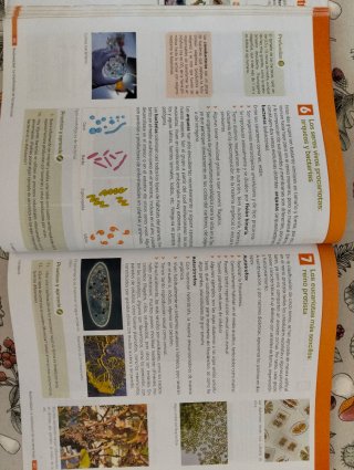 Lote libros de texto 1° ESO ISBN: 9788418242489