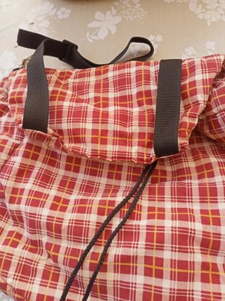Dos bolsos para perros pequeños