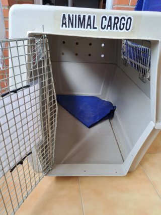 Trasporto Animal Cargo Box 400