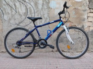 Bicicleta de montaña azul Teens