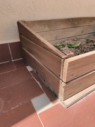 Terrario Reptiles Madera 100 ancho x 50 prof. x 30