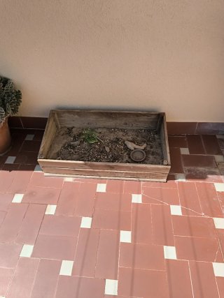 Terrario Reptiles Madera 100 ancho x 50 prof. x 30