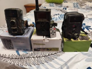 Cámaras de fototrampeo (Trail Cam)