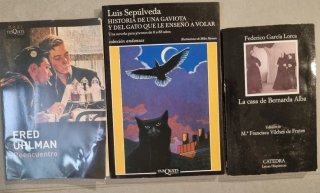 Lote libros lectura
