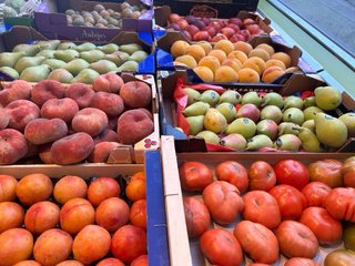 Fruteria