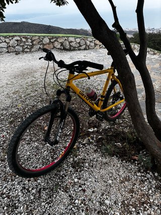 Cannondale M800 Roja
