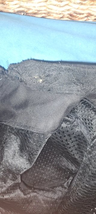 Giacca Pelle Alpinestars Uomo